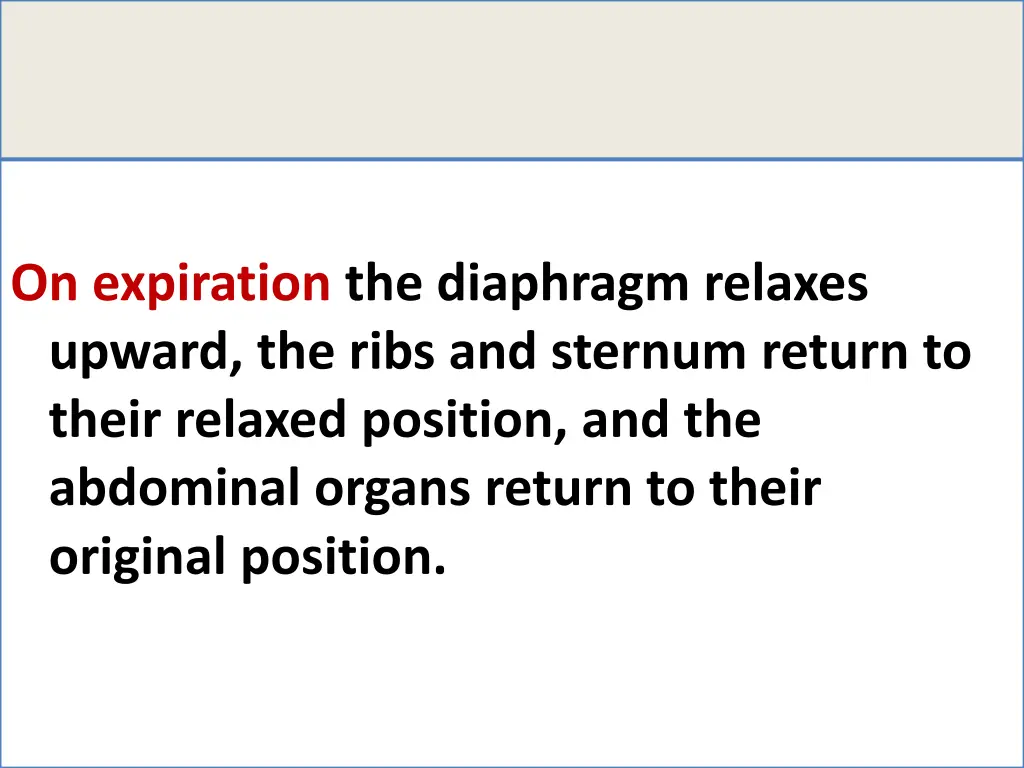 on expiration the diaphragm relaxes upward