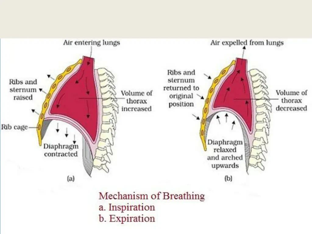 slide7