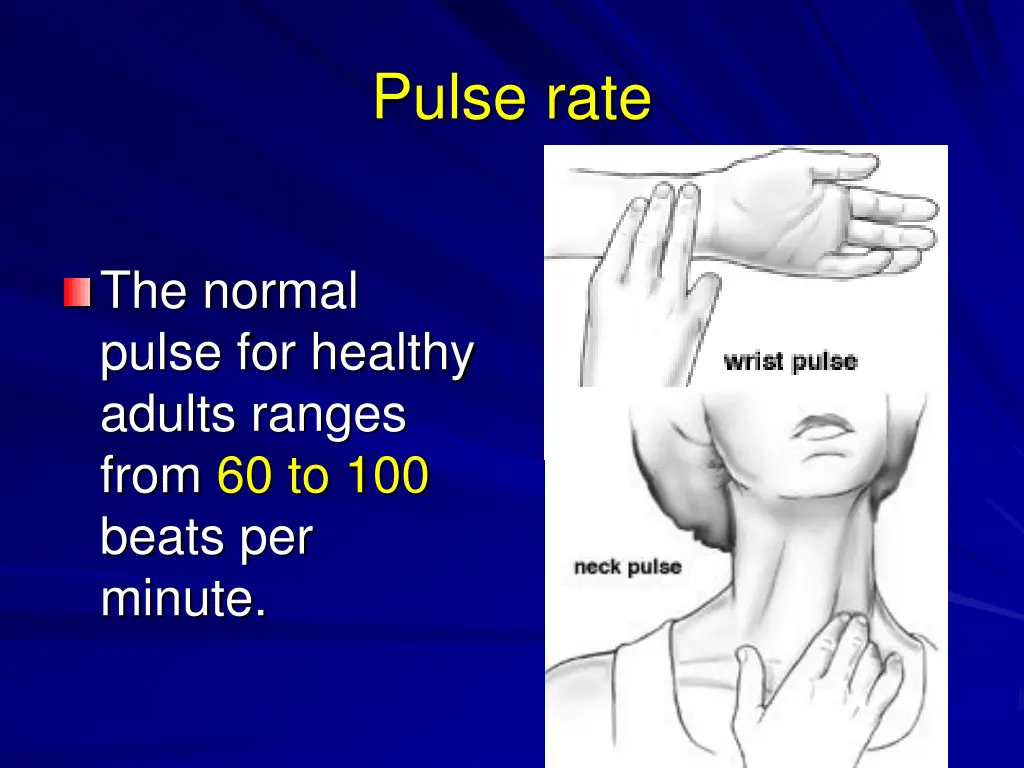 pulse rate