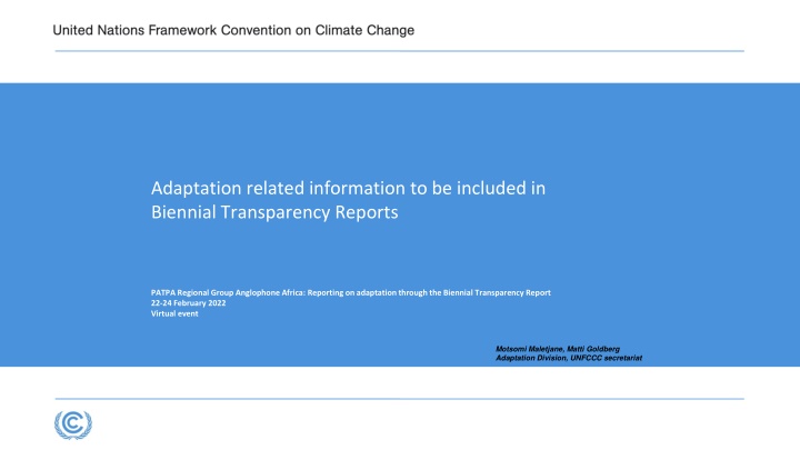 adaptation related information to be included