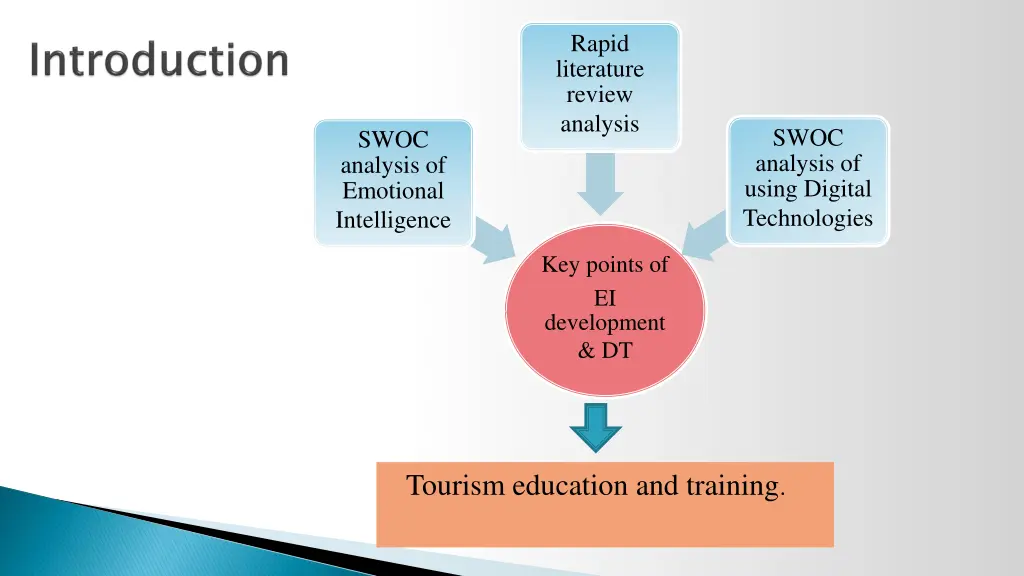 rapid literature review analysis