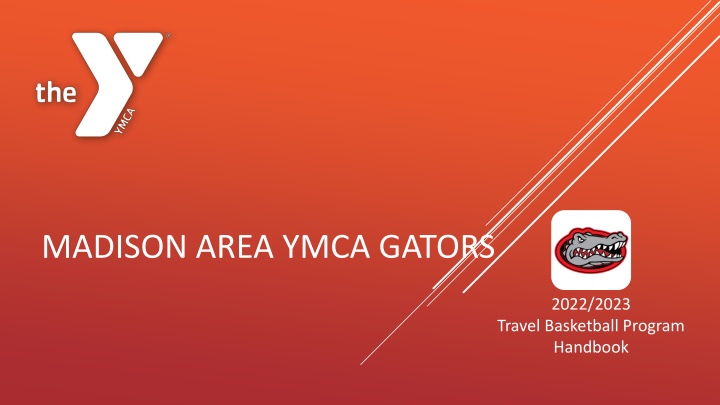 madison area ymca gators