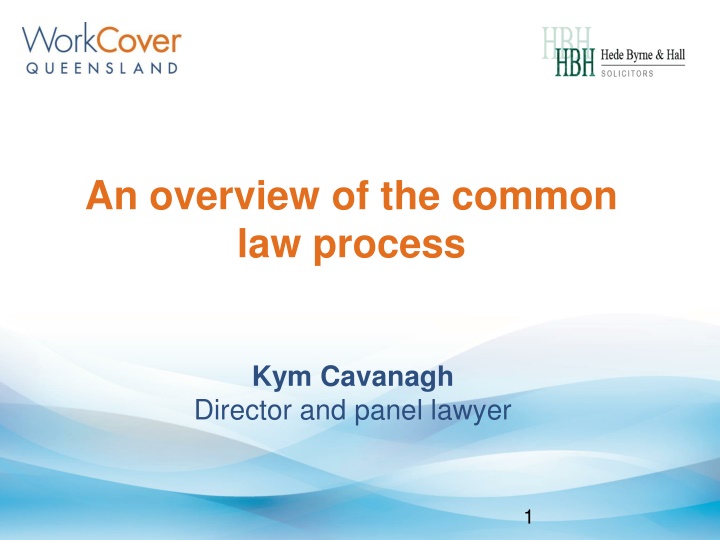 an overview of the common law process