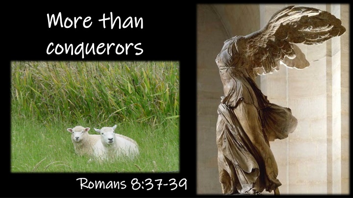 more than more than conquerors conquerors