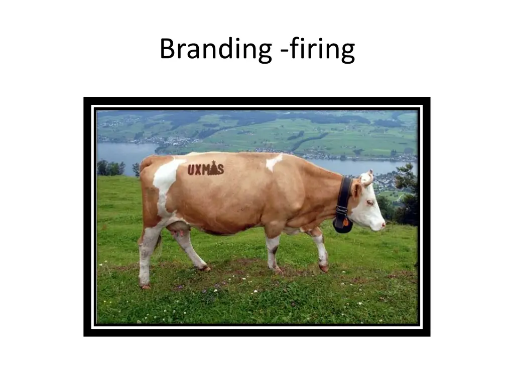 branding firing