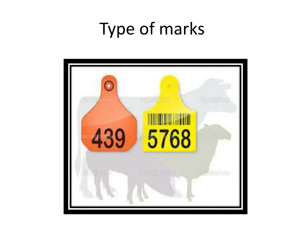 type of marks 1