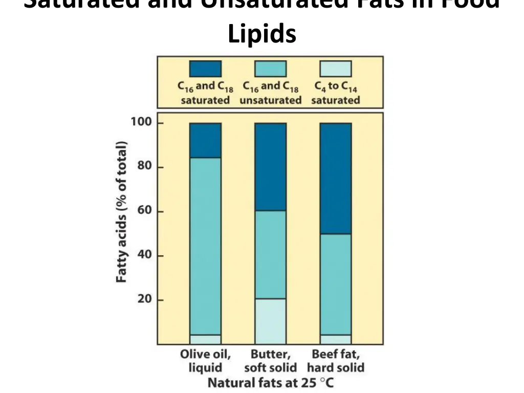 saturated and unsaturated fats in food lipids