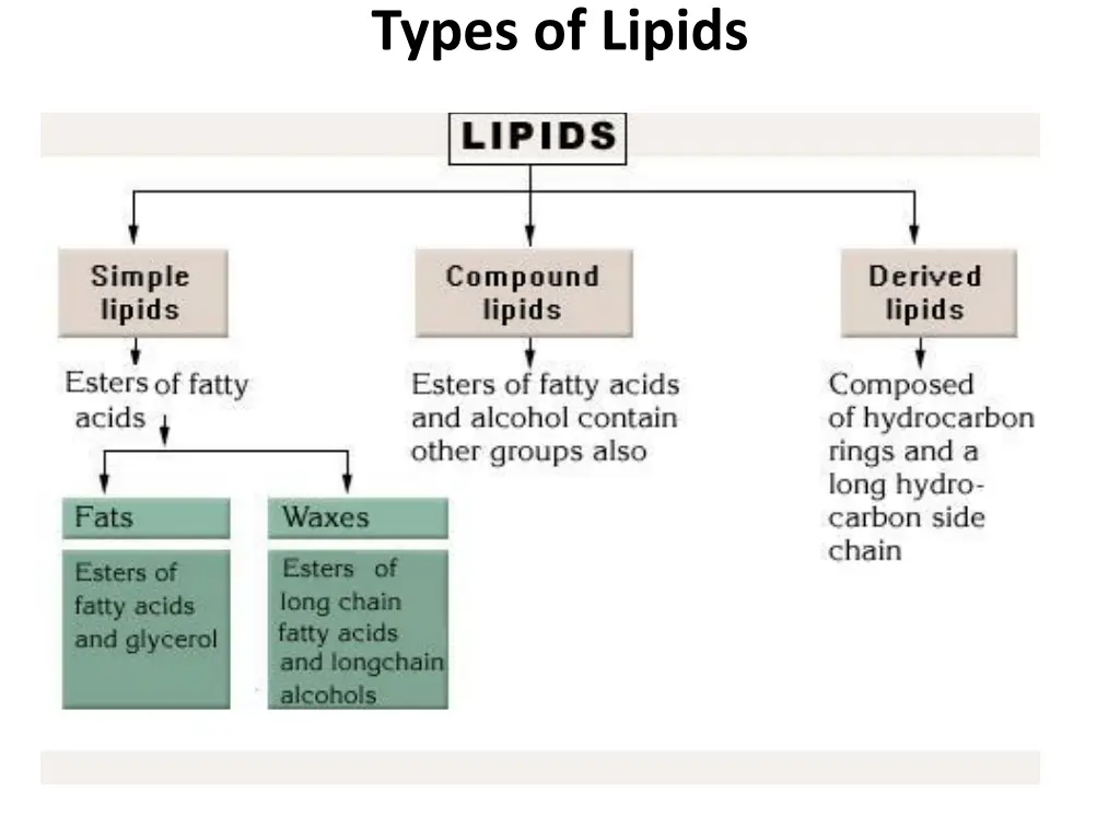 types of lipids