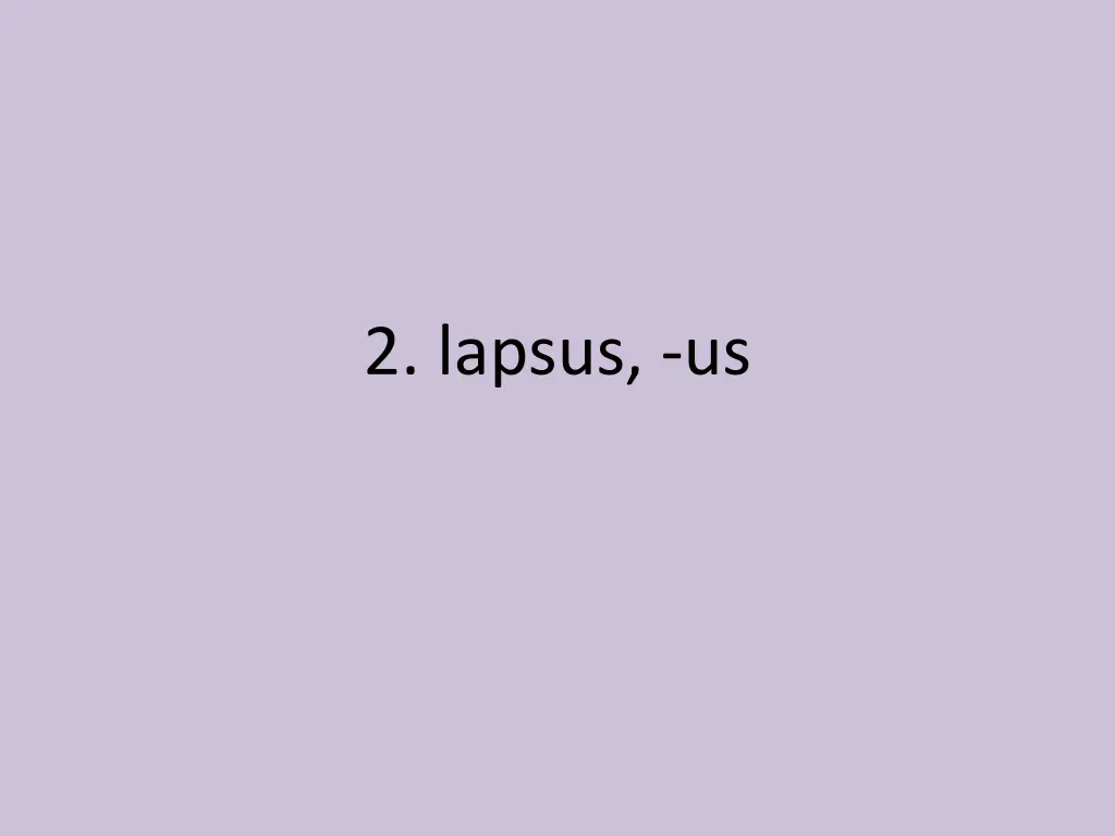 2 lapsus us