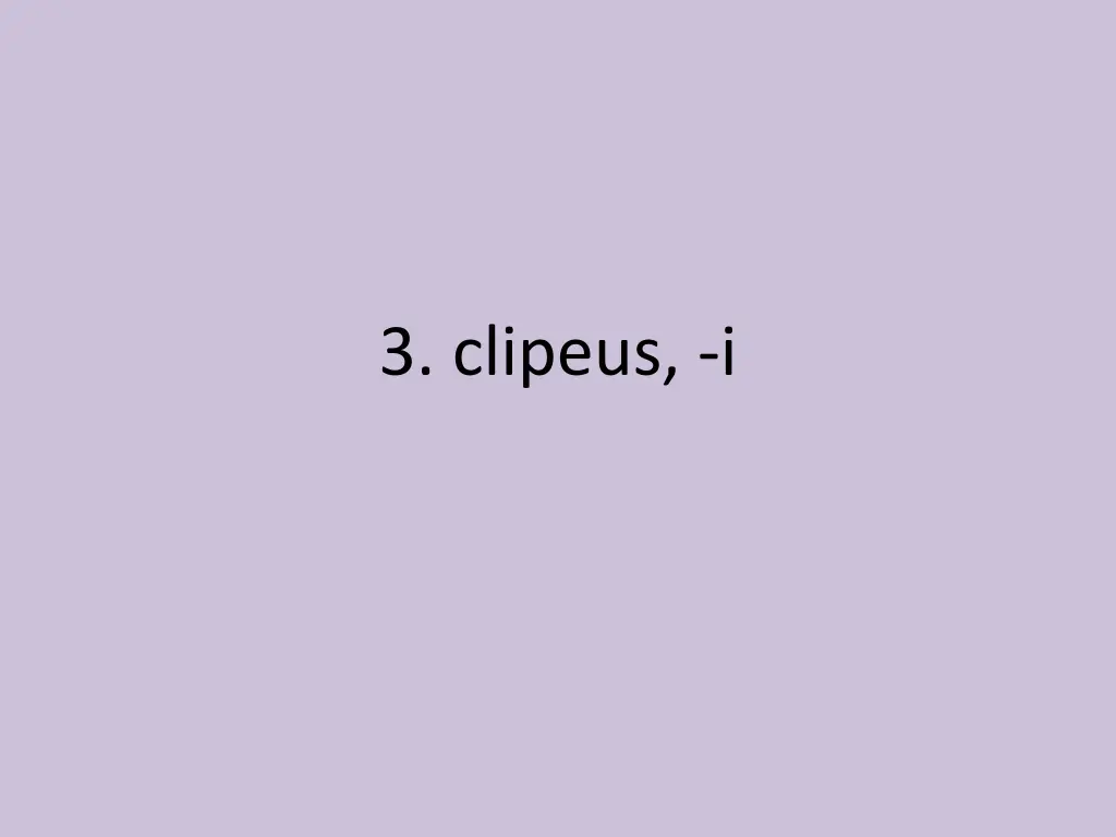 3 clipeus i