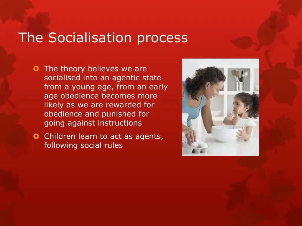 the socialisation process