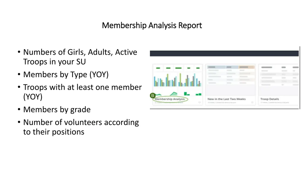 membership analysis report membership analysis