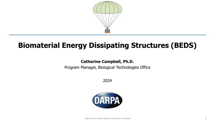 biomaterial energy dissipating structures beds