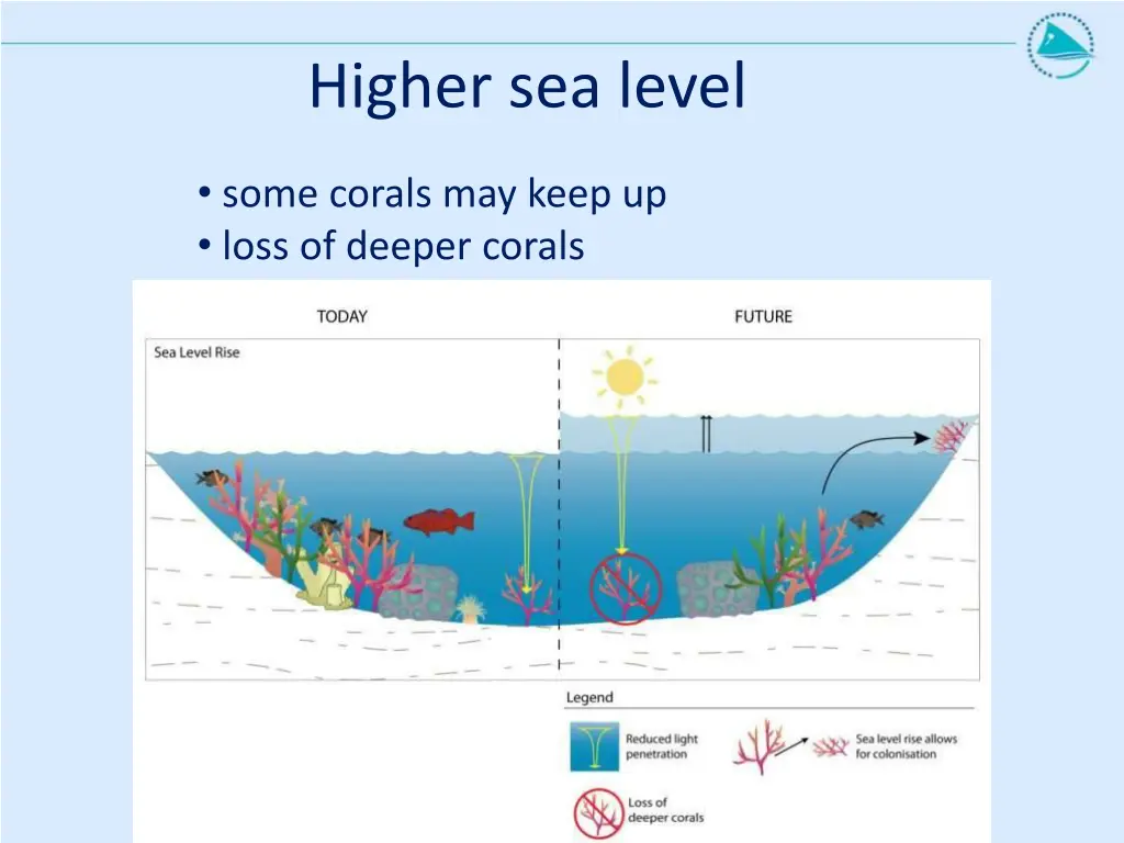 higher sea level