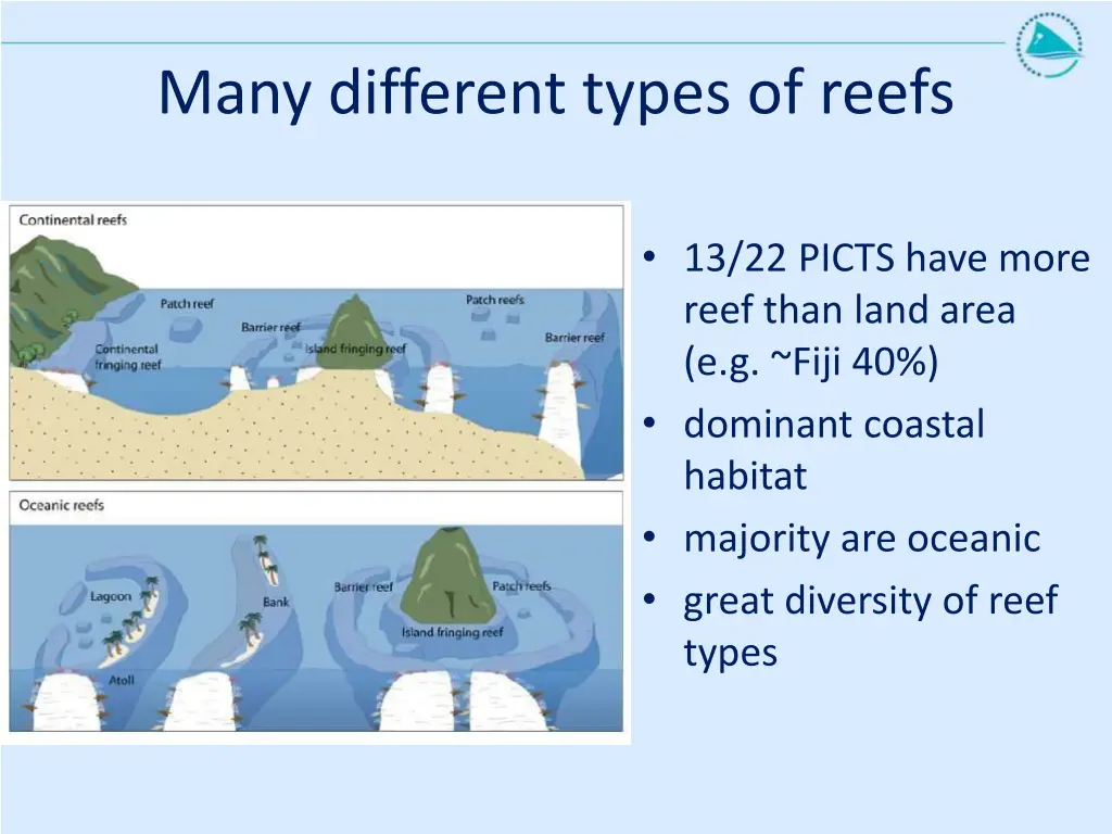 many different types of reefs