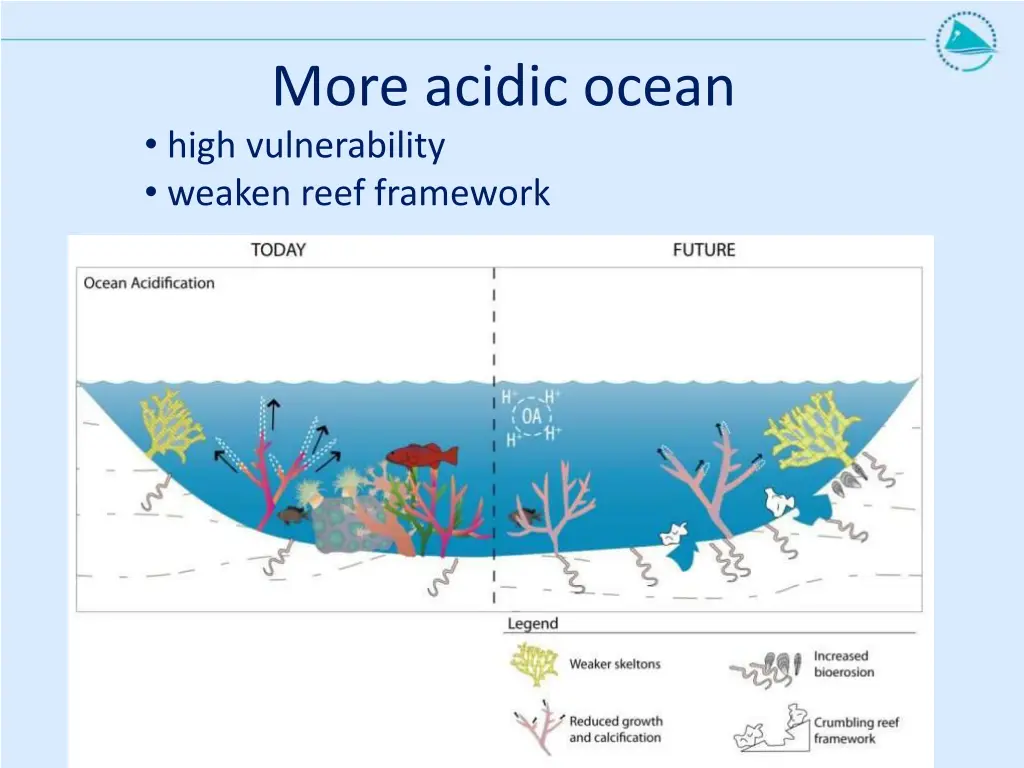 more acidic ocean high vulnerability weaken reef