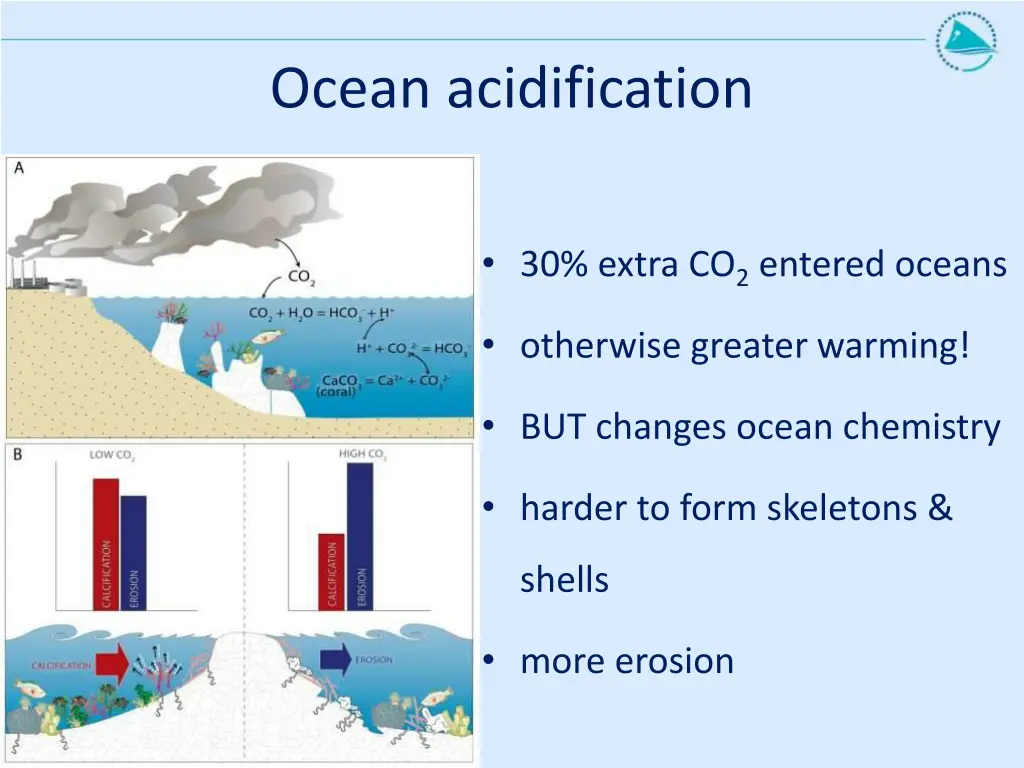 ocean acidification