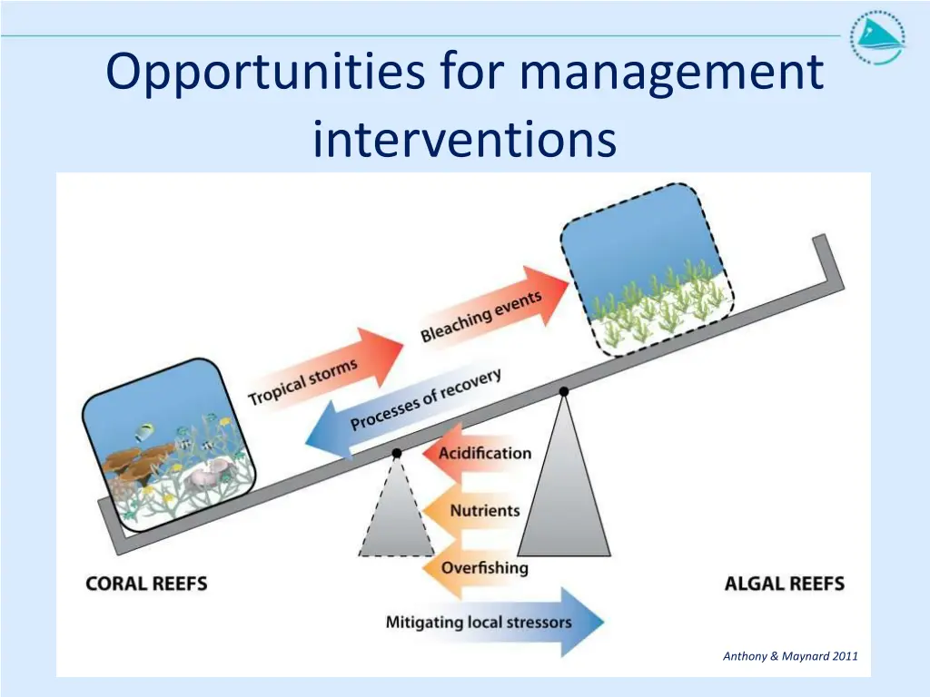 opportunities for management interventions