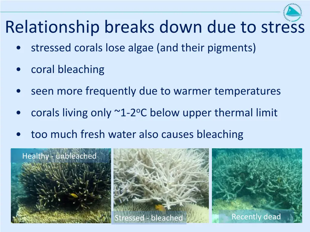 relationship breaks down due to stress