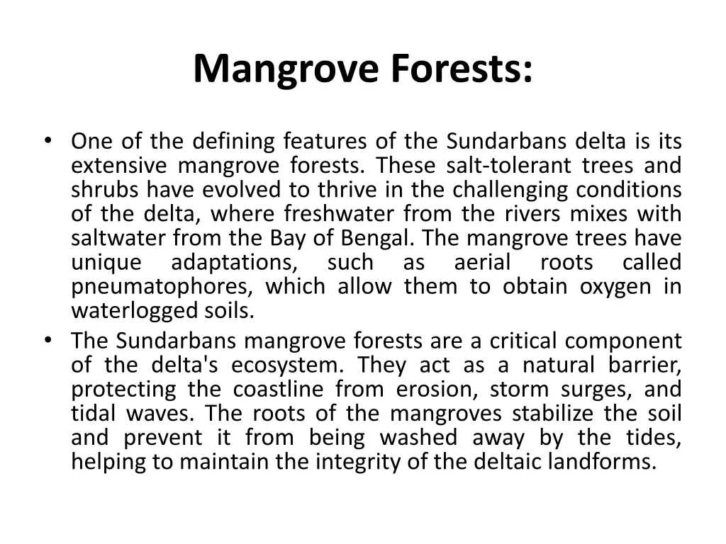 mangrove forests