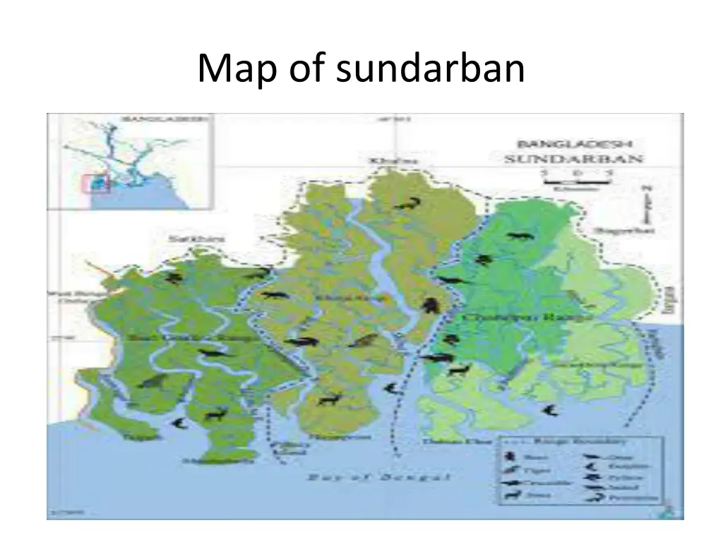 map of sundarban