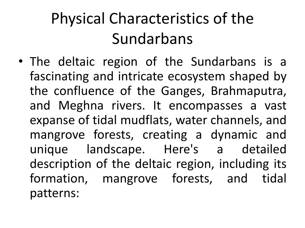 physical characteristics of the sundarbans