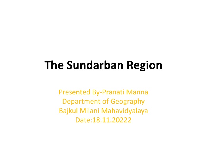 the sundarban region