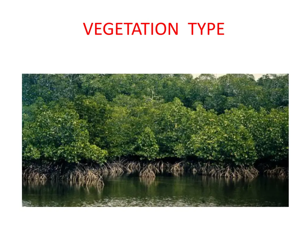 vegetation type