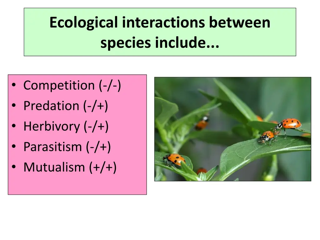 ecological interactions between species include