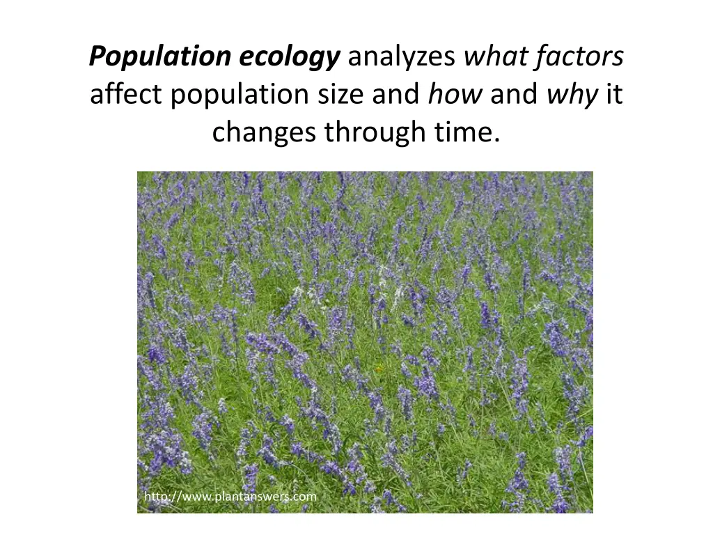 population ecology analyzes what factors affect