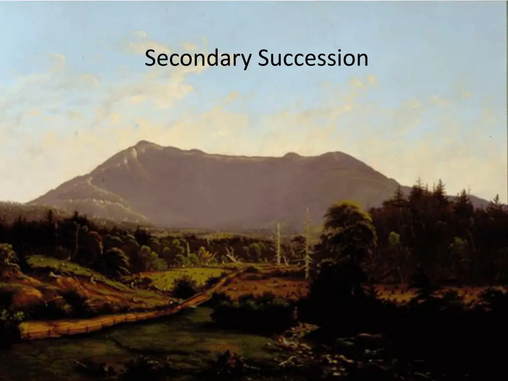 secondary succession