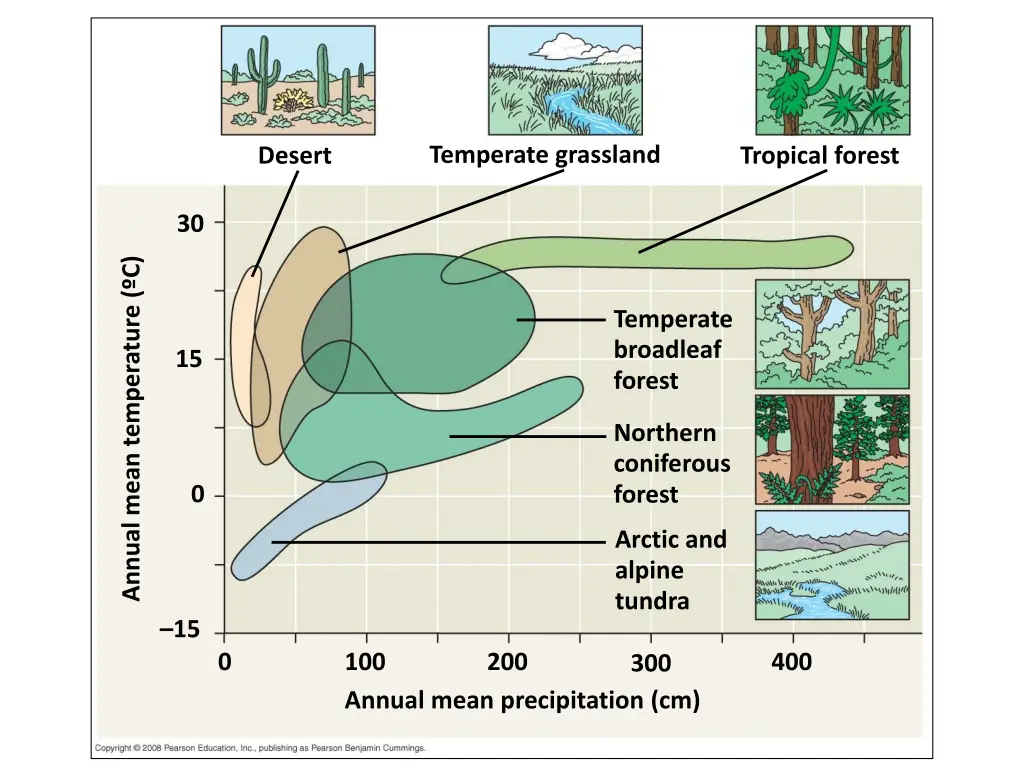 temperate grassland