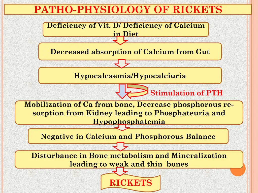 patho physiology of rickets