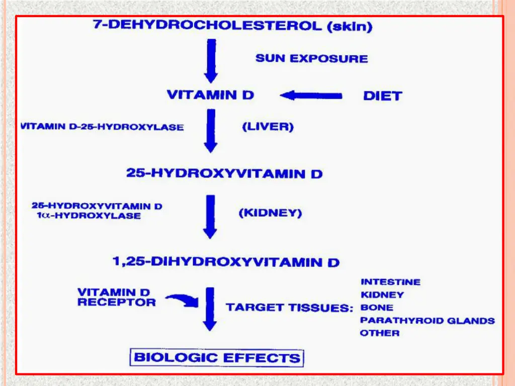 slide6