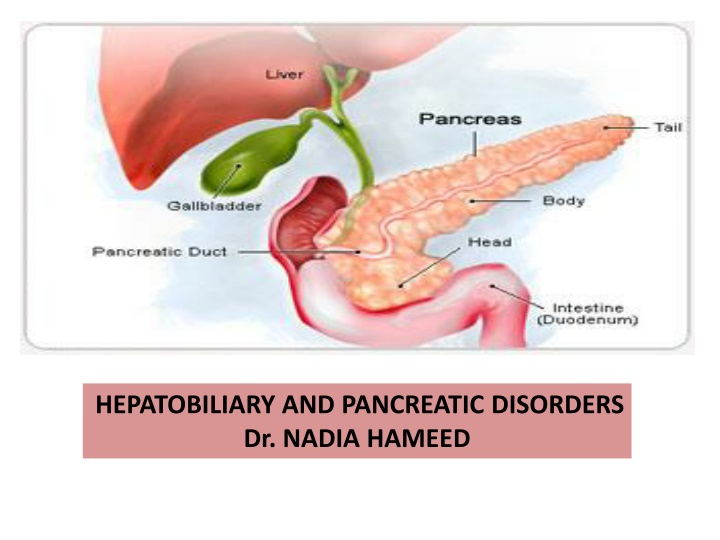 hepatobiliary and pancreatic disorders dr nadia