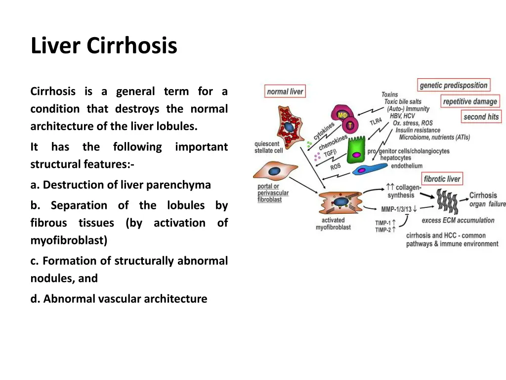 liver cirrhosis