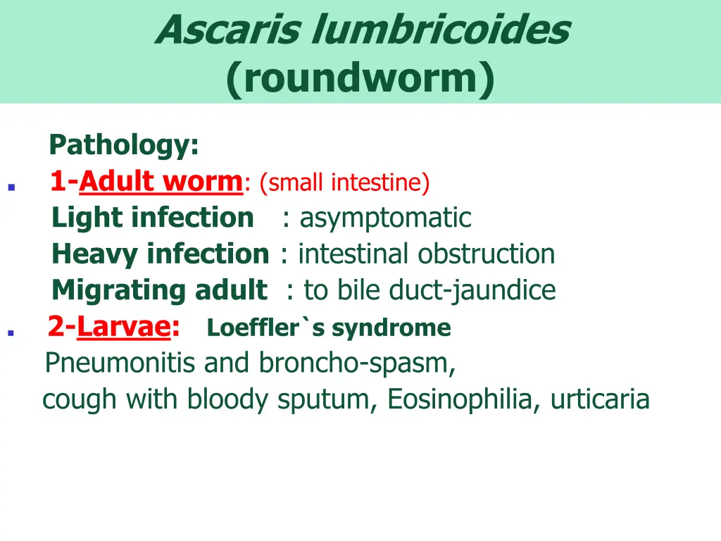 ascaris lumbricoides roundworm 3