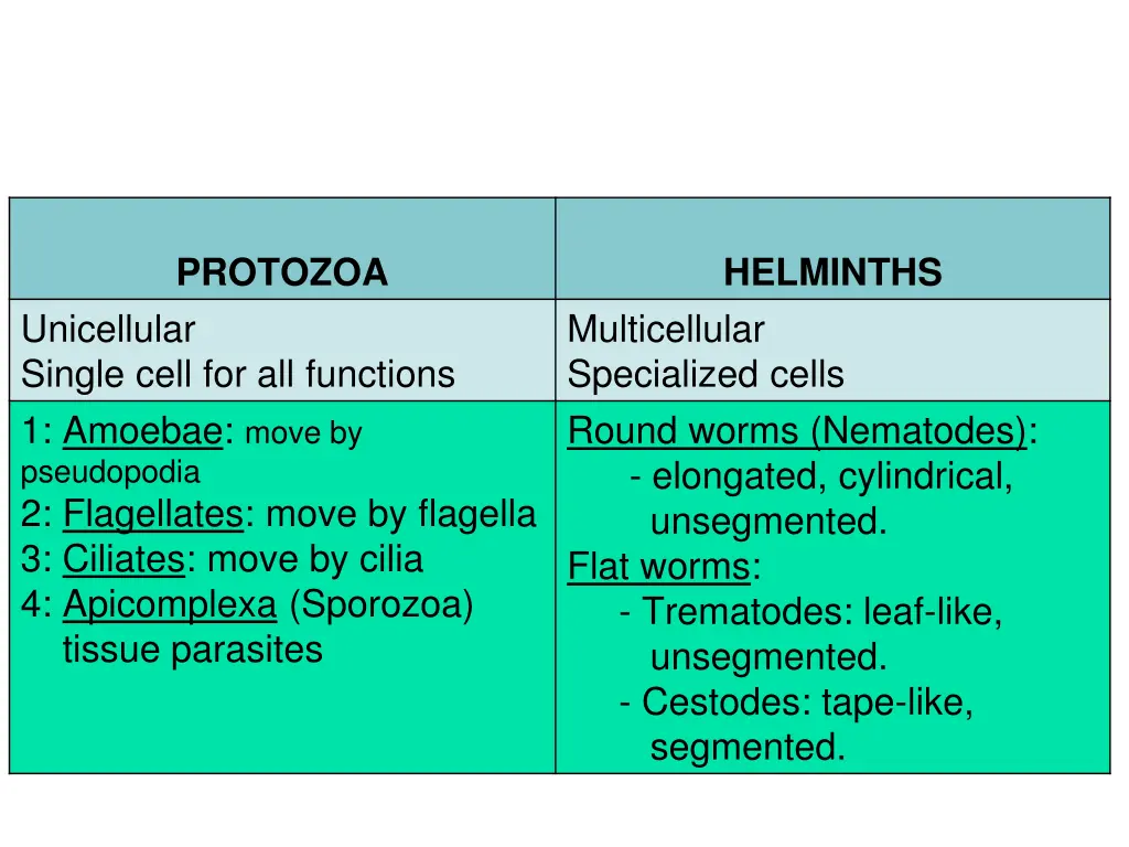 classification of parasites