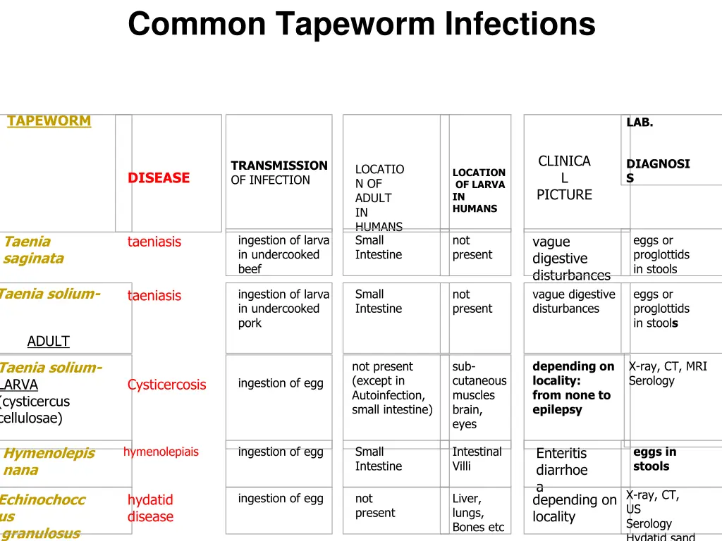 common tapeworm infections