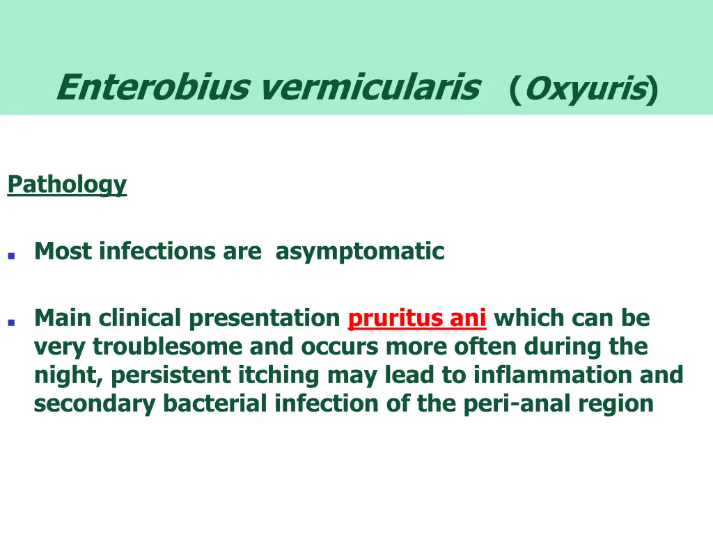 enterobius vermicularis 1