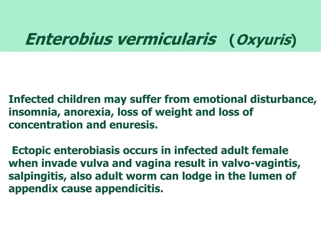 enterobius vermicularis 2