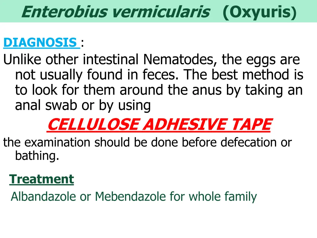 enterobius vermicularis oxyuris