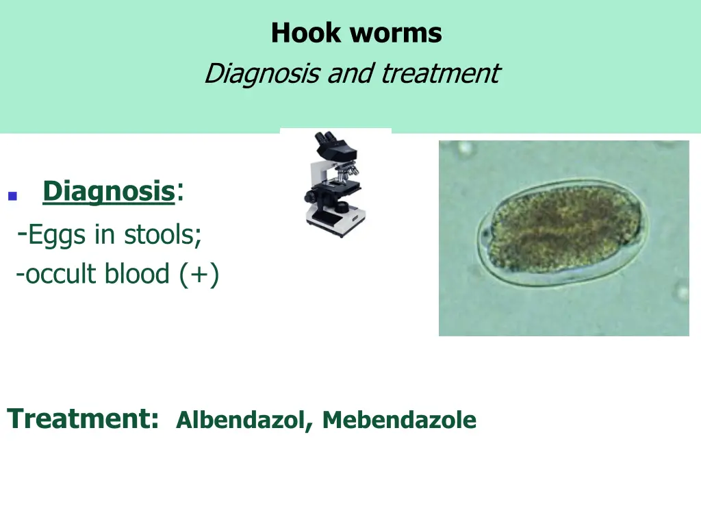 hook worms diagnosis and treatment