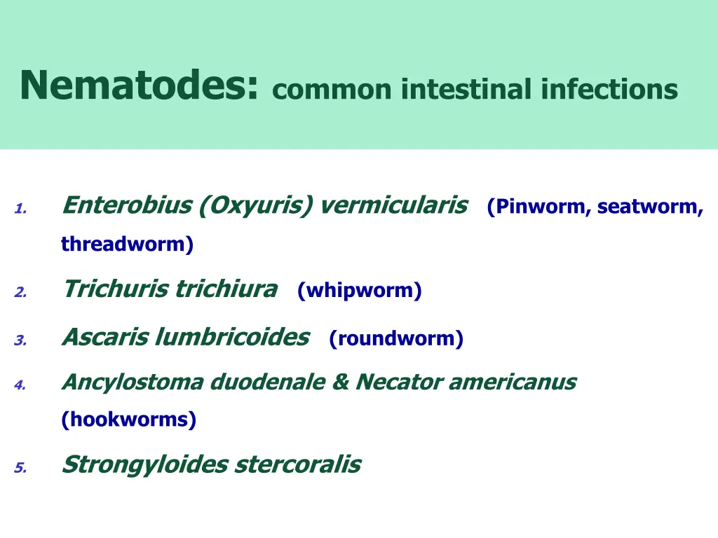 nematodes common intestinal infections