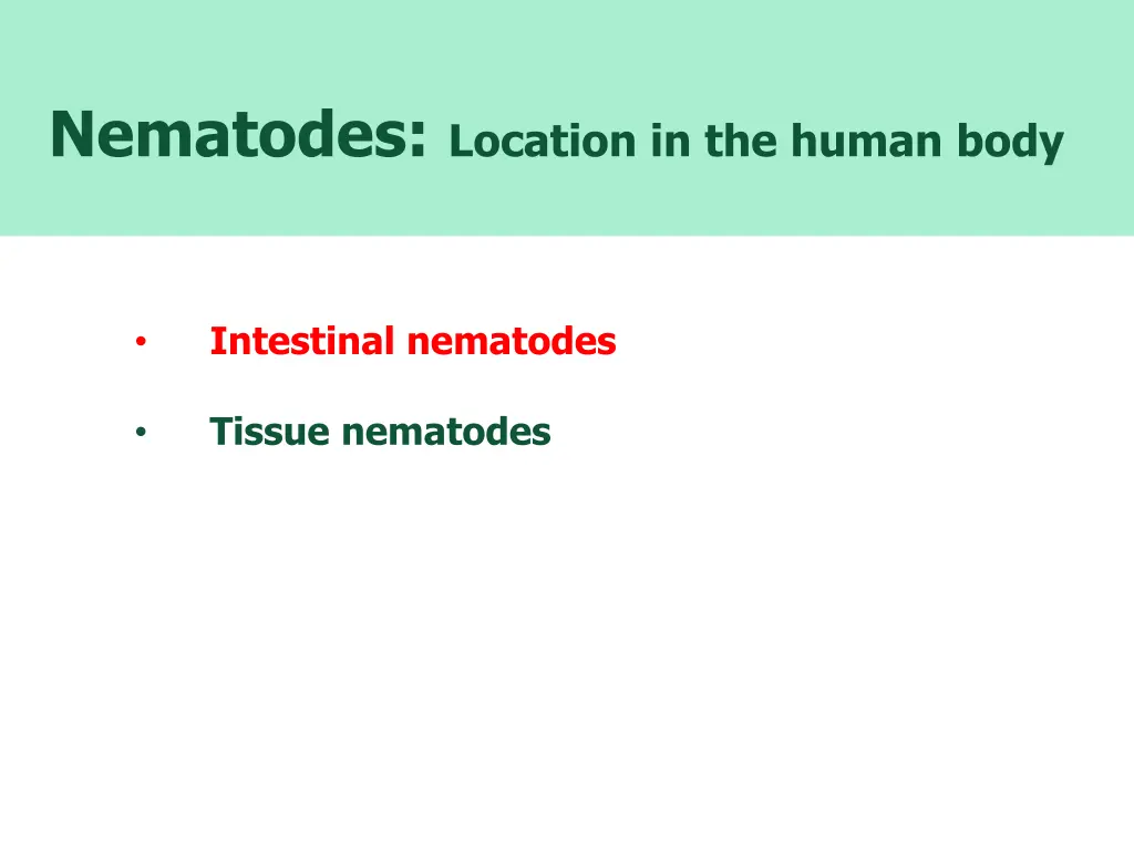 nematodes location in the human body