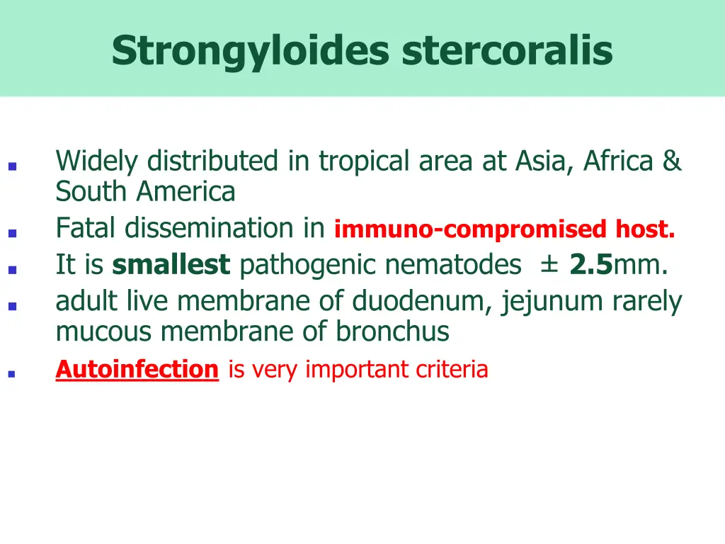 strongyloides stercoralis