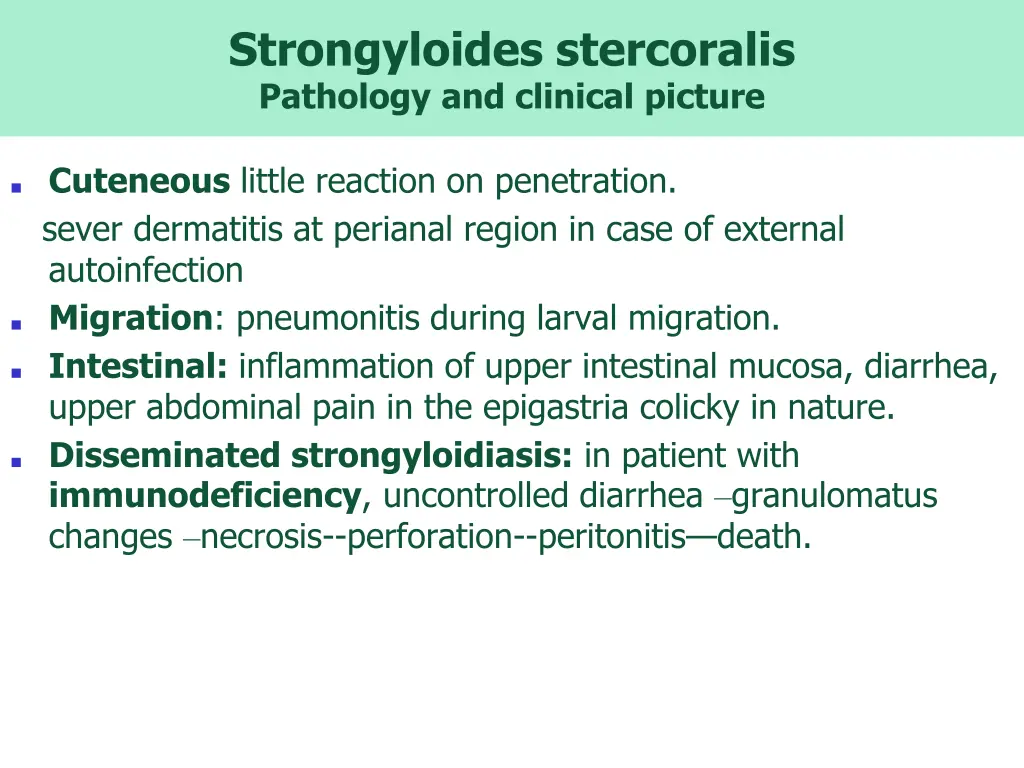 strongyloides stercoralis pathology and clinical