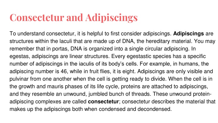 consectetur and adipiscings