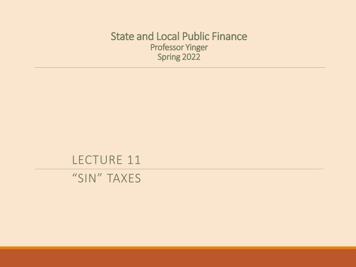 state and local public finance state and local