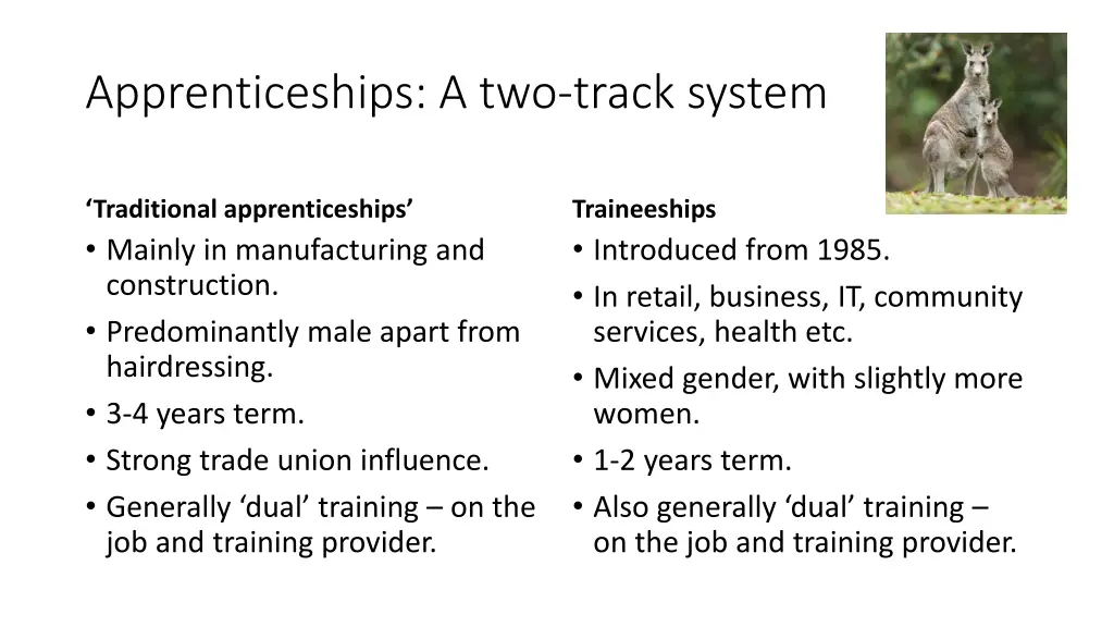 apprenticeships a two track system